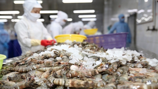 VASEP: Đà tăng xuất khẩu tôm sang Mỹ sẽ kéo dài đến quý I/2022