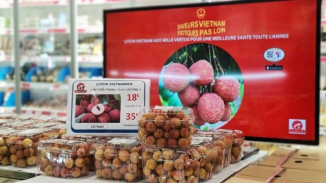 Nhiều dư địa cho trái cây nhiệt đới Việt Nam vào thị trường EU