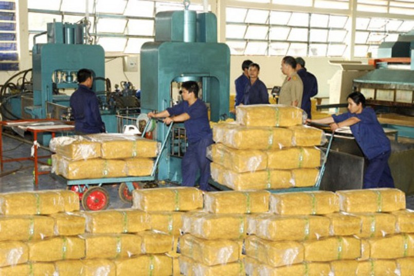 Kim ngạch xuất khẩu cao su của Việt Nam vẫn đạt mức cao