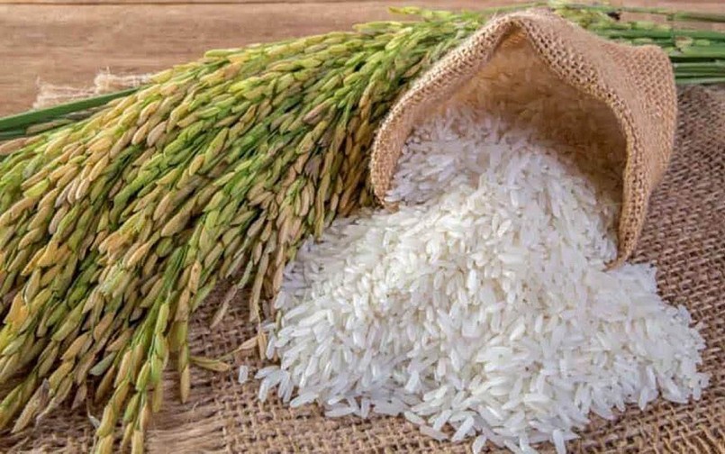 Cập nhật giá lúa gạo hôm nay 11/11/2021: Giá lúa bật tăng 200 đồng