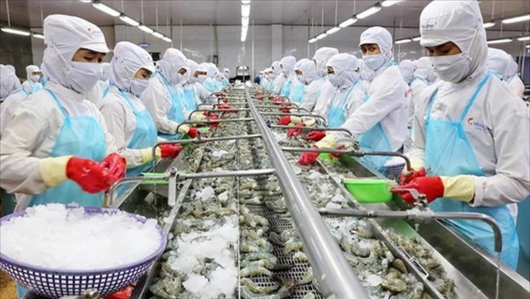 VASEP dự báo xuất khẩu thủy sản sang Trung Quốc giảm 40% trong quý IV