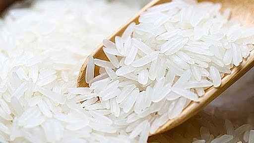 Thị trường gạo Châu Á: Giá gạo Việt duy trì ở ngưỡng cao, Thái Lan xuống đáy hơn 4 năm