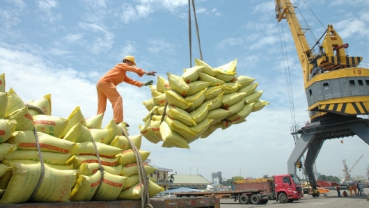 Xuất khẩu gạo tiếp tục tăng tháng thứ 4 liên tiếp