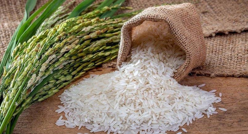 Cập nhật giá lúa gạo hôm nay 30/11/2021: Trái chiều giữa các giống lúa