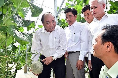 Thủ tướng Chính phủ Nguyễn Xuân Phúc thăm Trung tâm Nông nghiệp công nghệ cao Bình Phước, ngày 2/1/2017. - Ảnh: VGP/Quang Hiếu