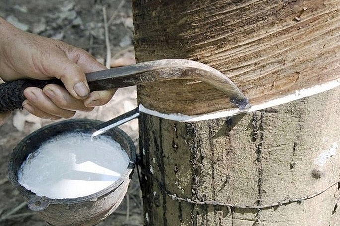 Cập nhật giá cao su chiều nay 21/12: Trầm lắng