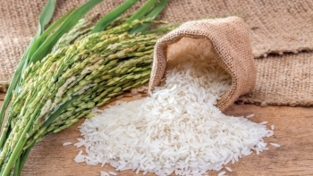 TT lúa gạo Châu Á:  Giá gạo xuất khẩu ở mức cao