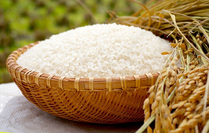 Cập nhật giá gạo hôm nay 27/12: Giá gạo xuất khẩu Thái Lan tăng vượt Việt Nam
