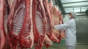 Nhập khẩu thịt và các sản phẩm từ thịt tăng mạnh