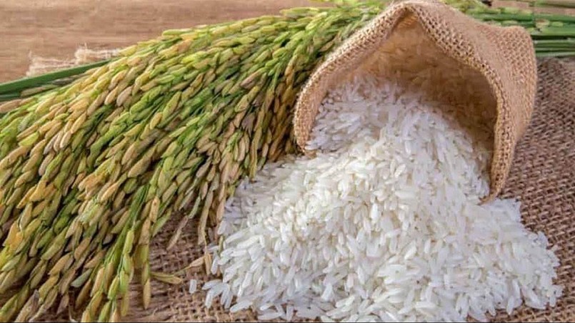 Cập nhật giá lúa gạo hôm nay 8/12/2021: Giá gạo tăng nhẹ