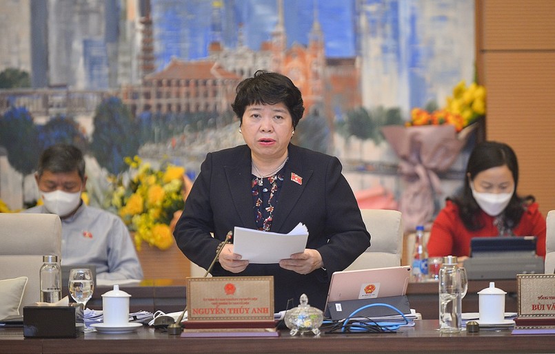 Chủ nhiệm Ủy ban Xã hội Nguyễn Thúy Anh trình bày Báo cáo thẩm tra