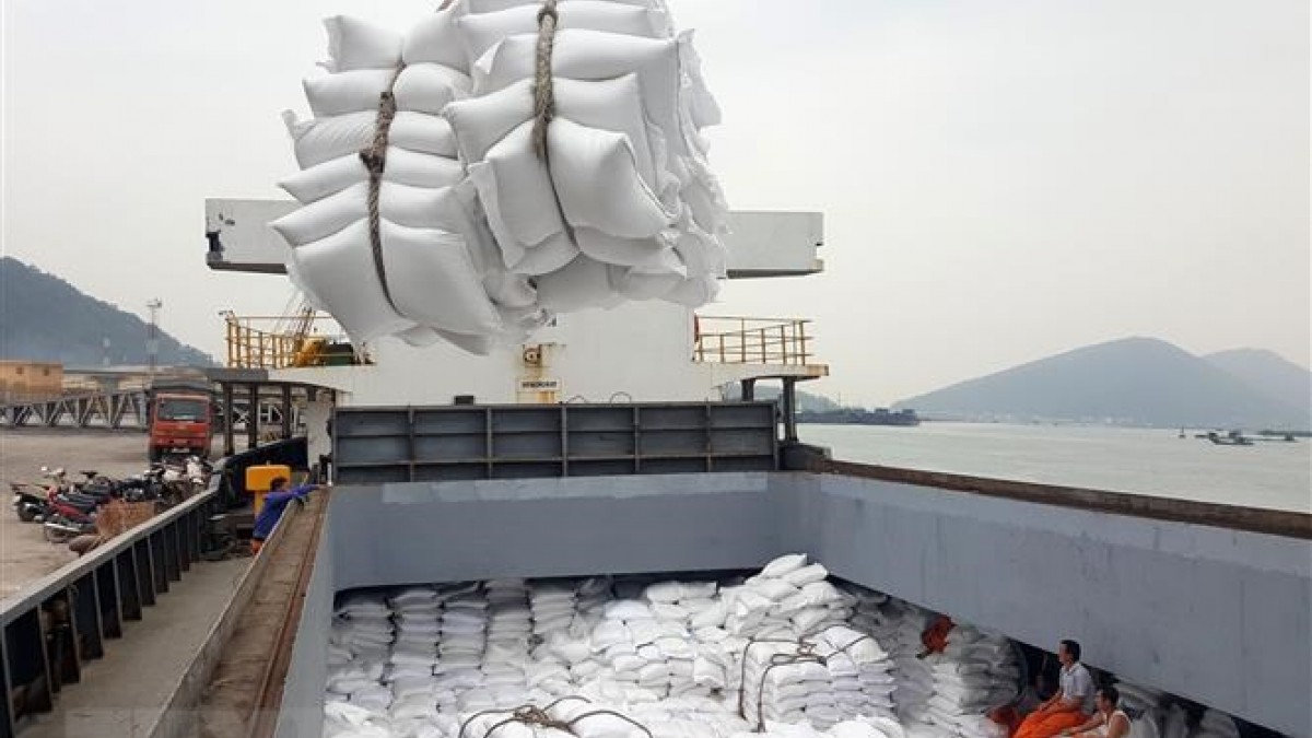Thị trường gạo Châu Á: Giá gạo Việt Nam xuống thấp nhất 3 tháng
