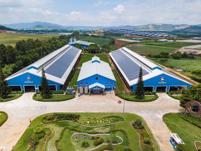 inamilk đã triển khai lắp đặt hệ thống năng lượng mặt trời trên mái chuồng trại tại tất cả trang trại bò sữa trên cả nước.