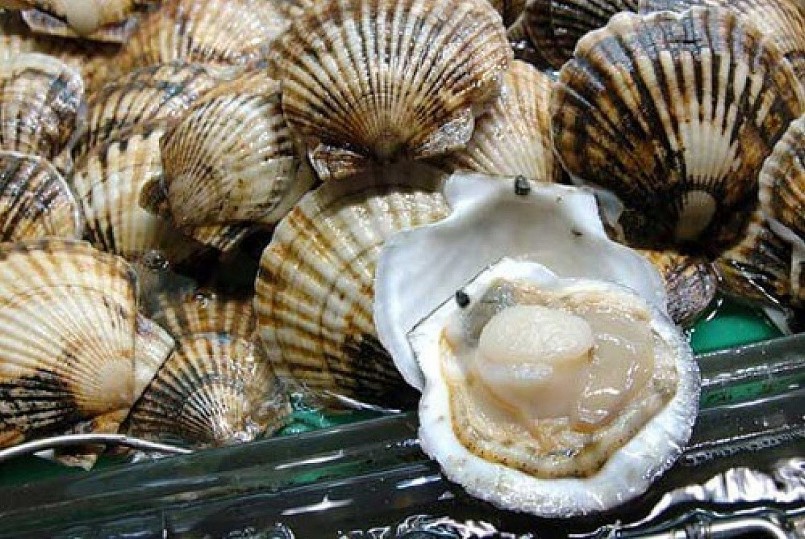 Tận dụng ưu đãi thuế từ Hiệp định EVFTA