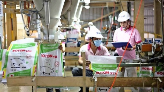 Xuất khẩu thức ăn gia súc 11 tháng năm 2021 tăng mạnh