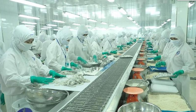 VASEP lần thứ 3 trong năm kiến nghị bỏ quy định kiểm dịch thủy sản đông lạnh dùng làm thực phẩm
