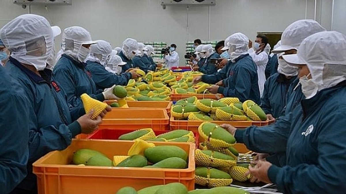 320 mã nông sản thực phẩm của Việt Nam được nhập khẩu vào Trung Quốc