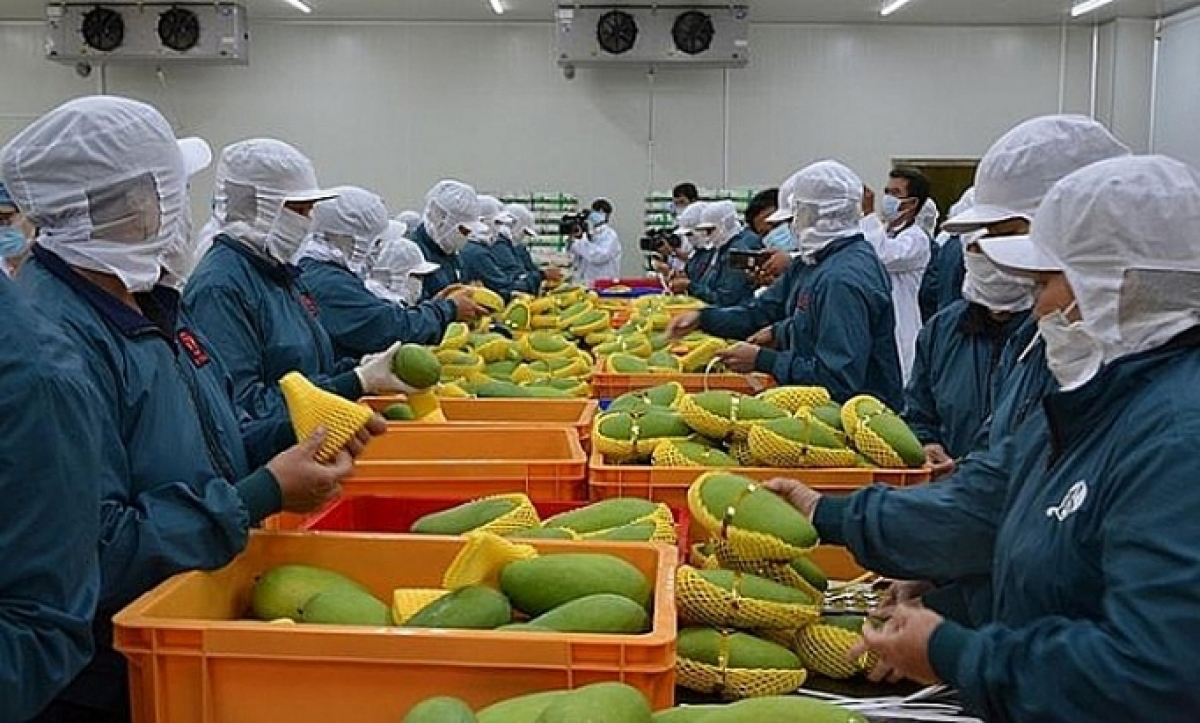 320 mã nông sản thực phẩm của Việt Nam được nhập khẩu vào Trung Quốc