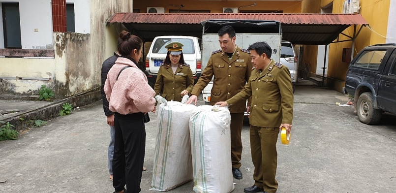 QLTT Hà Giang đã phát hiện, tạm giữ 150kg Tam thất củ không rõ nguồn gốc