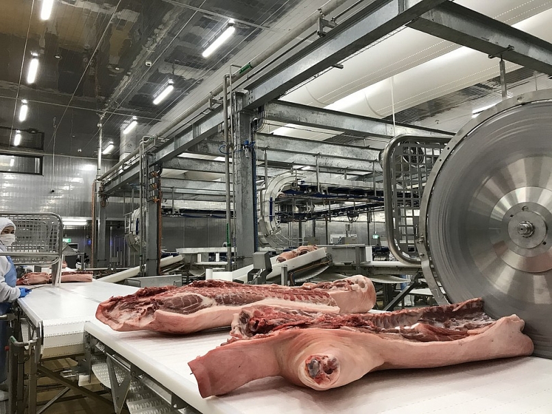 Giá thịt lợn hôm nay 5/1, xuất hiện mức tăng tại Công ty Thực phẩm bán lẻ