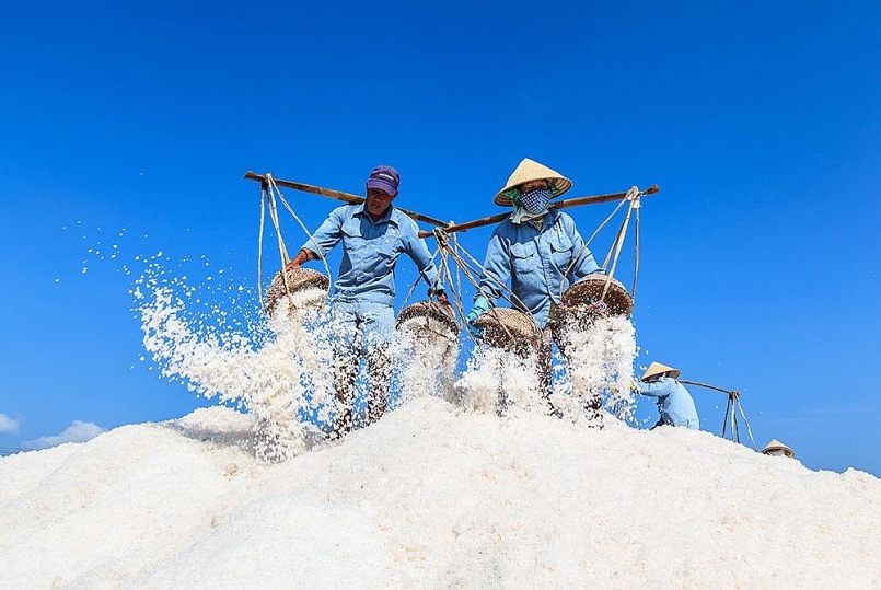 Bạc Liêu  một trong những địa phương có diện tích sản xuất muối lớn nhất cả nước