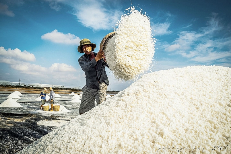 Làm muối không tốn nhiều kinh phí đầu tư mà cần nhất là sự cần cù, chịu khó và kinh nghiệm tích lũy được qua nhiều năm Làm muối không tốn nhiều kinh phí đầu tư mà cần nhất là sự cần cù, chịu khó và kinh nghiệm tích lũy được qua nhiều năm