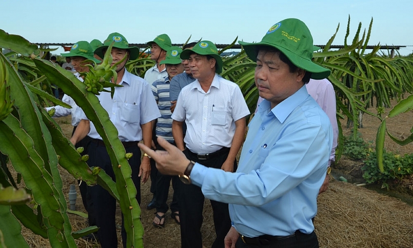năm 2020, tỉnh Tiền Giang đã thực hiện chuyển đổi cơ cấu cây trồng trên nền đất lúa khoảng 13.700 ha