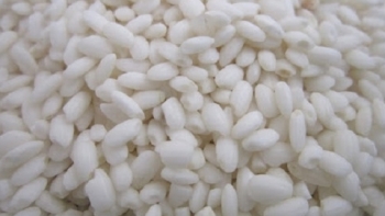 Yên Bái: Sản phẩm gạo nếp Tú Lệ được bảo hộ chỉ dẫn địa lý