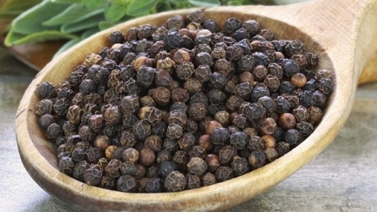 Giá hồ tiêu hôm nay 9/1: Giao dịch ở mức 52.000 - 54.000 đồng/kg