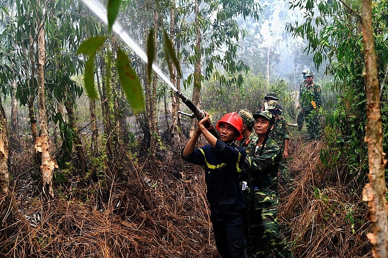Kiên Giang thực hiện chính sách chi trả dịch vụ môi trường rừng
