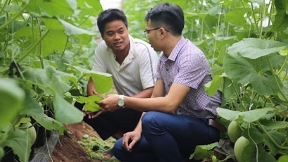 Năm 2020, Hà Nội có thêm 22 mô hình sản xuất nông nghiệp hiệu quả
