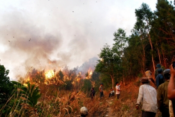 Hà Nội: Tăng cường công tác phòng, chống cháy nổ, cháy rừng