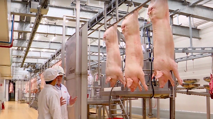 Giá thịt lợn hôm nay 22/1: Tăng tại Công ty Thực phẩm bán lẻ