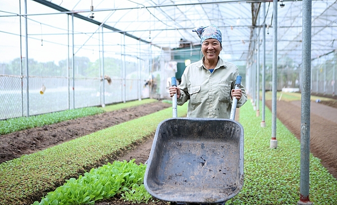 Dự thảo đặt mục tiêu phấn đấu đến năm 2025 cả nước có trên 3.000 hợp tác xã (HTX) ứng dụng công nghệ cao. Dự thảo đặt mục tiêu phấn đấu đến năm 2025 cả nước có trên 3.000 hợp tác xã (HTX) ứng dụng công nghệ cao.