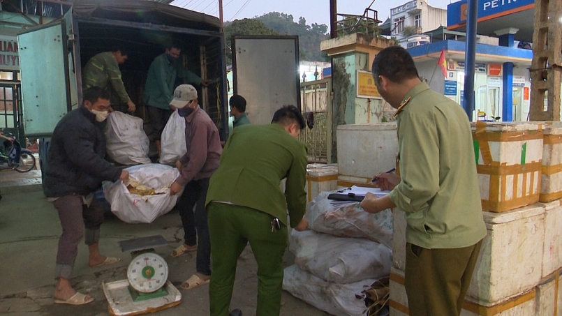 Lực lượng chức năng tỉnh Sơn La đã phát hiện, xử lý gần 1.300 kg nội tạng động vật đã bốc mùi, biến chất