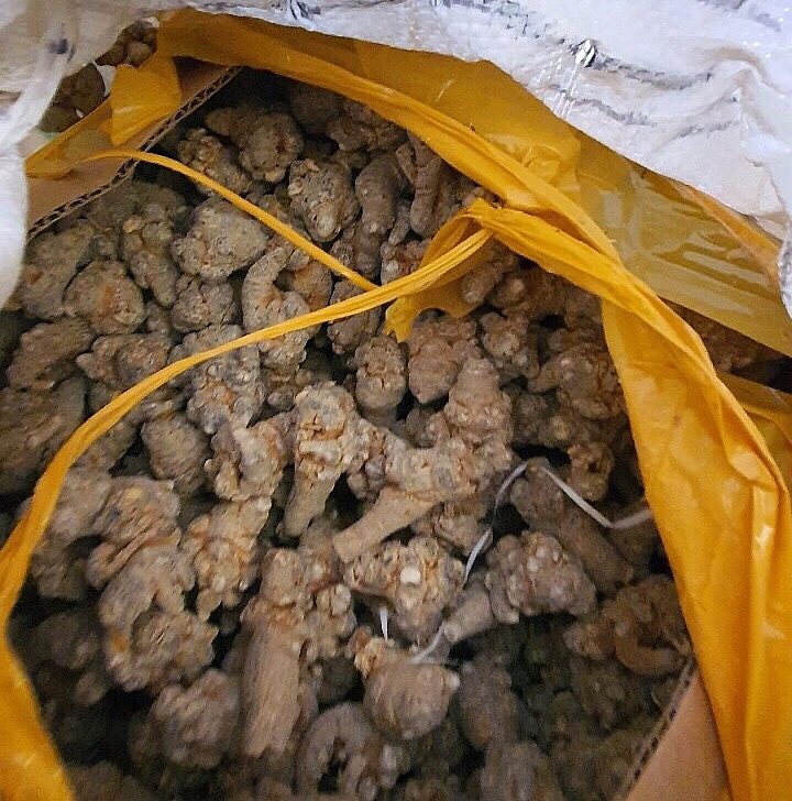 100kg củ Tam thất đã bị tịch thu