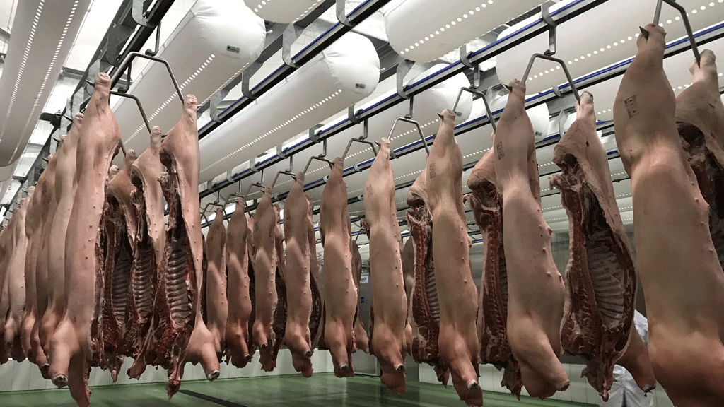 Giá thịt lợn hôm nay 6/2 tiếp tục tại Công ty Thực phẩm bán lẻ