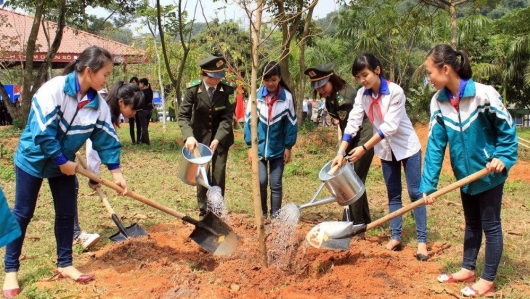 Hà Nội: Dự kiến trồng mới hơn 400 nghìn cây dịp Tết trồng cây