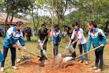 Hà Nội: Dự kiến trồng mới hơn 400 nghìn cây dịp Tết trồng cây