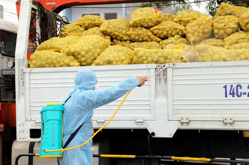 Hà Nội hỗ trợ tiêu thụ 300 tấn rau, củ, quả cho Hải Dương, Quảng Ninh