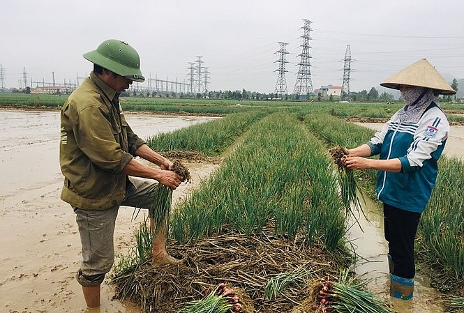 Bắc Ninh: Đẩy mạnh lưu thông hàng hóa và tiêu thụ nông sản trước tình hình dịch Covid-19 diễn biến phức tạp