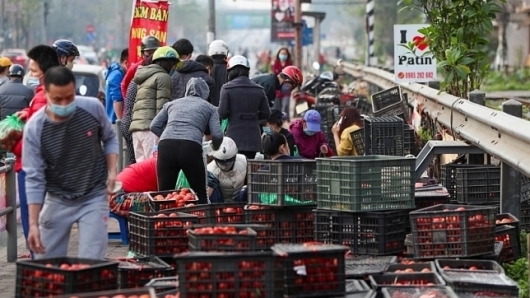 Hà Nội: Dốc toàn lực hỗ trợ tiêu thụ nông sản, thực phẩm tỉnh Hải Dương