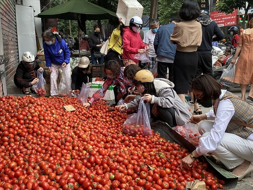 Rất nhiều người dân Hà Nội đang chọn mua cà chua được chuyển lên từ Hải Dương đang được bày bán trên đường Nguyễn Văn Huyên. Ảnh: Tú Quỳnh