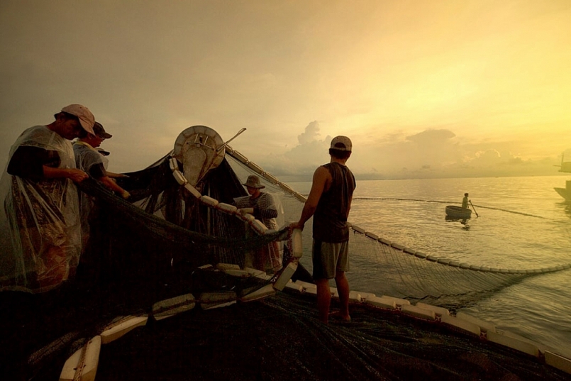Bí quyết chính để có vị nước nắm Phú Quốc thơm ngon đến từ “làng nghề cá cơm” tại đây