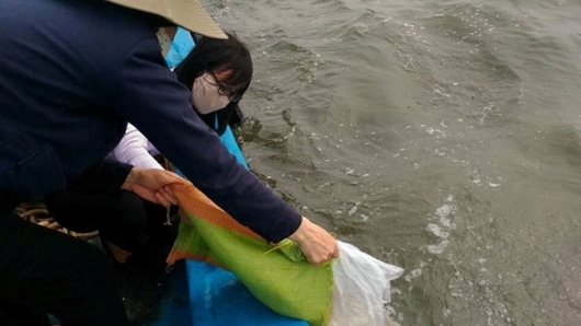 Bà Rịa - Vũng Tàu: Xây dựng kế hoạch thả giống tái tạo và phát triển nguồn lợi thủy sản năm 2021