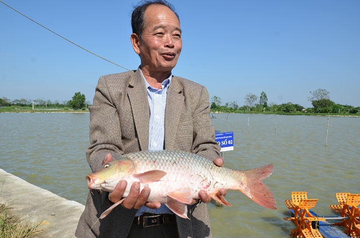 Hà Nội: Xây dựng lộ trình quan trắc, cảnh báo môi trường trong nuôi trồng thủy sản