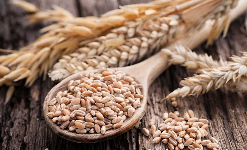 Tháng 1/2021, nhập khẩu lúa mì giảm cả lượng và kim ngạch so với cùng kỳ