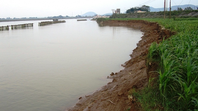 Sạt lở bờ sông Lam gây mất đất sản xuất
