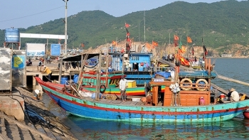 Thêm 3 cảng cá đủ điều kiện xác nhận nguồn gốc thuỷ sản từ khai thác