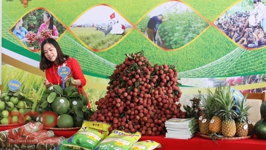 Bắc Giang: Giới thiệu, tiêu thụ sản phẩm và phát triển các kênh phân phối hàng Việt Nam ở nước ngoài